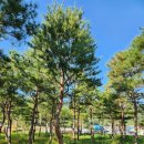 남송농원 이미지