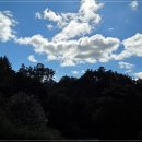 샘터식당 | 전라도 진안 여행｜마이산 말고 뭐 먹지? 현지 식당 샘터가든 흑돼지불고기 후기