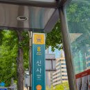 신사역 피부관리 서울 스파 이지슬림 등집중케어 후기