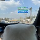 털찐친구들 이미지