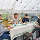 동네농장 이미지