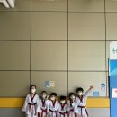 경희대한얼태권도 이미지