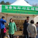 월출녹차 이미지
