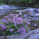 정광자농장 이미지