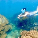 터미널정비(주) 이미지