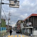 개봉분식 이미지