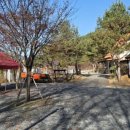 가자펜션 | 영월캠핑장 고민 끝에 다녀온 영월가자펜션&amp;캠핑장