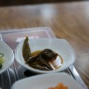 터미널생고기 이미지