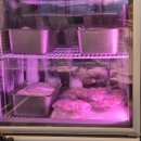 복가밥상 | 곤지암스키장맛집 강추! "복가밥상" 흑돼지삼겹살에 산낙지, 전복탕까지! 곤지암리조트단체예약으로도...