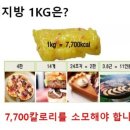해피점핑하이 이미지