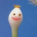 오꼬다꼬 이미지