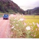 가곡삼거리 이미지