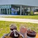 뮤지엄호두 MUSEUM HODU 이미지