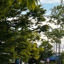 (주간)이타다키마스 일본의 집밥 레시피 | 9월 주간 일기 4. 완연한 가을, 취미 발레 하차...P 같은 급 고성 여행, 신혼집밥, 직장인 점심, 신혼일기