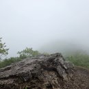 공주-08 이미지