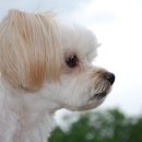 개금2동-8 이미지