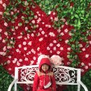 열린터어린이집 이미지