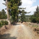 신효동-3 이미지