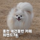 남노일로 | 홍천 대형 애견동반 카페 위켄드74 솔직후기