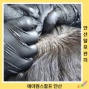 에이원헤어라인 | 안산 탈모 두피커버 SMP 에이원스칼프 다녀왔어요