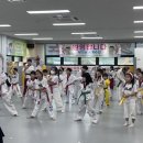 경희대 다산 태권도 이미지
