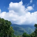 유림골프 이미지