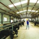 화룡농장 이미지