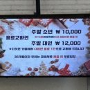 시선목장 | 가평양떼목장 겨울에 가볼만한곳 산타알파카 눈썰매 솔직후기