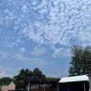 이석해물칼국수.왕만두 이미지