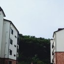 도수초등학교 병설유치원 이미지