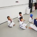 용인대 청목 mta 태권도 이미지