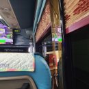 태양목장2 | 부산 출발 충북 증평 여행 1박 2일 웰니스 투어 후기