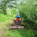 여름농장 이미지