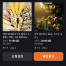 산푸드 | 당근마켓 월봉푸드 | 당근에서 산 태국 골드망고 🥭 내돈내산 후기 (완전 달달💛)