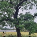 중앙로62번길 이미지