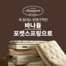 혼수 침대 추천 시몬스침대 뷰티레스트 100주년 프로모션까지