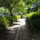 공작산계곡 오토캠핑장 이미지