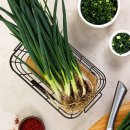 대붕농장 이미지