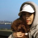 혜동 이미지
