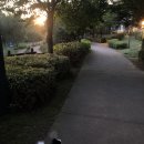 현아세탁소 이미지