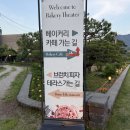베이커리시어터 | [🥐 베이커리 씨어터] 남양주 대형카페 후기 | 북한강 뷰와 베이커리가 매력적인 카페
