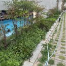 펜션서곡리 이미지