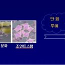 조인트