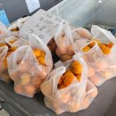 속초식당 이미지