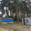 중국아줌마닭집 이미지