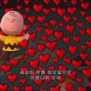 샵셀럽네일 이미지