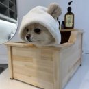 아로멍 이미지