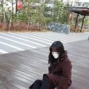 영등포구 당산2동주민센터 이미지