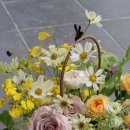 신평가든 이미지