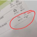 시정약국 | 독시메디정 부작용 속쓰림 후기